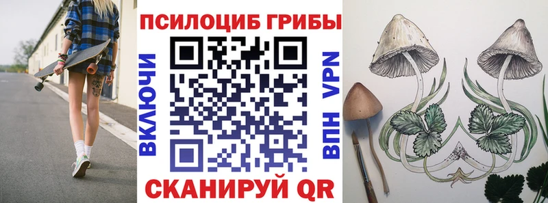площадка официальный сайт  наркотики  Строитель  Галлюциногенные грибы Psilocybine cubensis  omg tor 